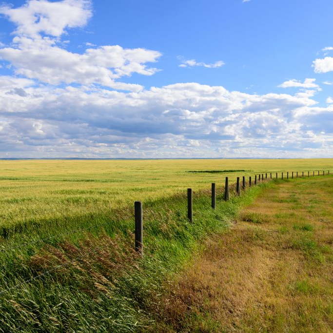 Protected: Westward to the Prairie